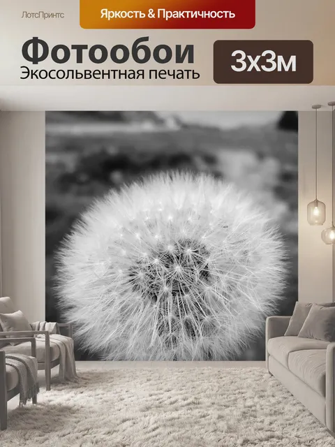 Фотообои Одуванчик