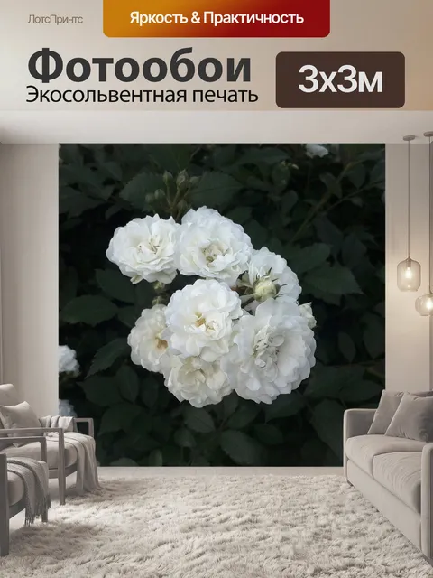 Фотообои Роза