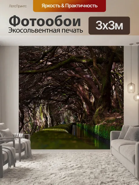 Фотообои Лес