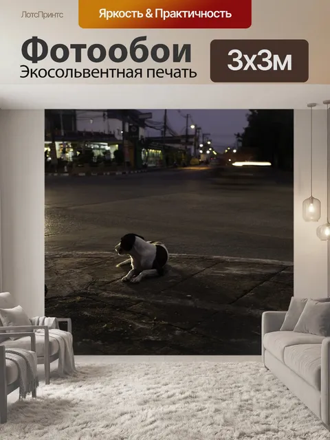 Фотообои Собака