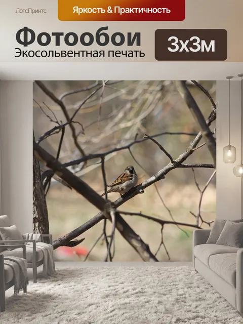 Фотообои Природа