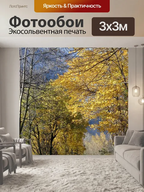 Фотообои Лес