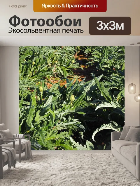 Фотообои Поле