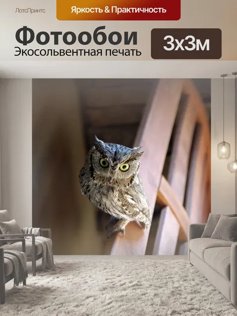 Фотообои Совы