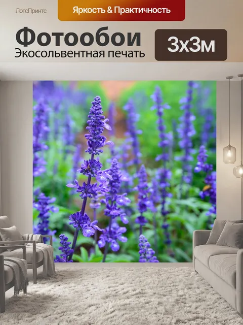 Фотообои Лаванда