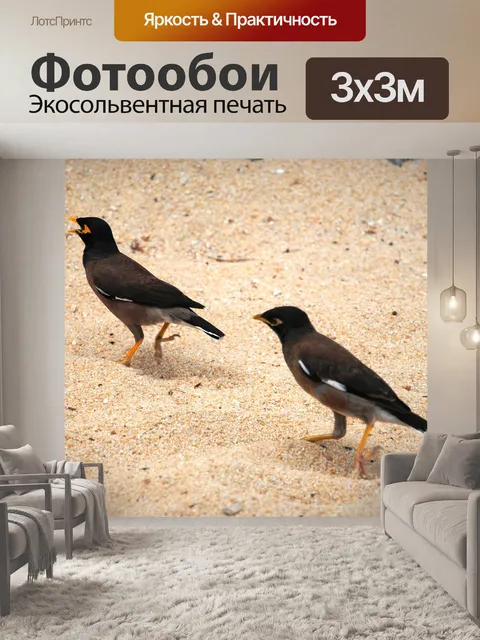 Фотообои Птицы