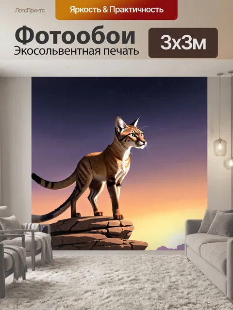 Фотообои каракал, стоящий на вершине скалы, смотрит в безкрайнее небо на закате
