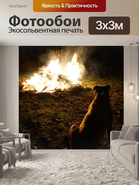 Фотообои Яма бык