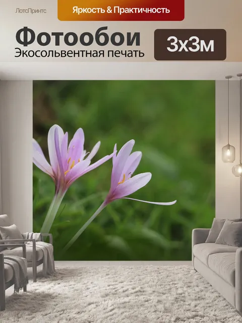 Фотообои Цветы