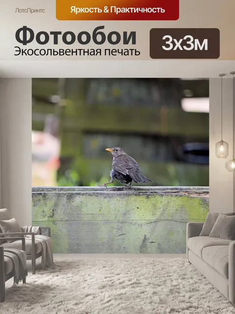 Фотообои Птицы