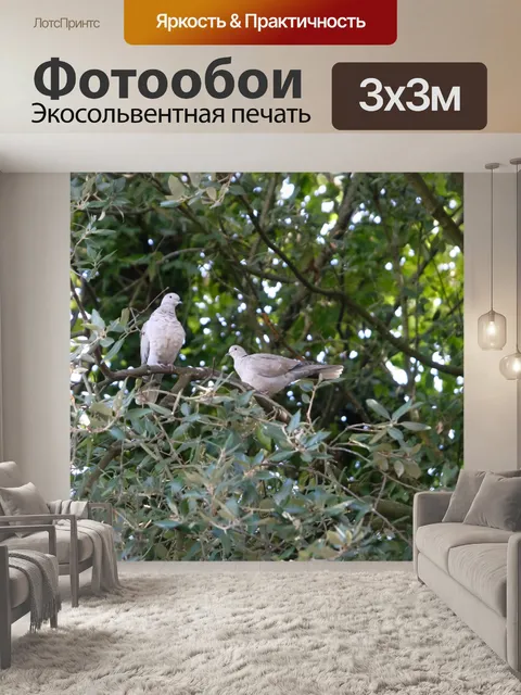 Фотообои Голуби в ветках