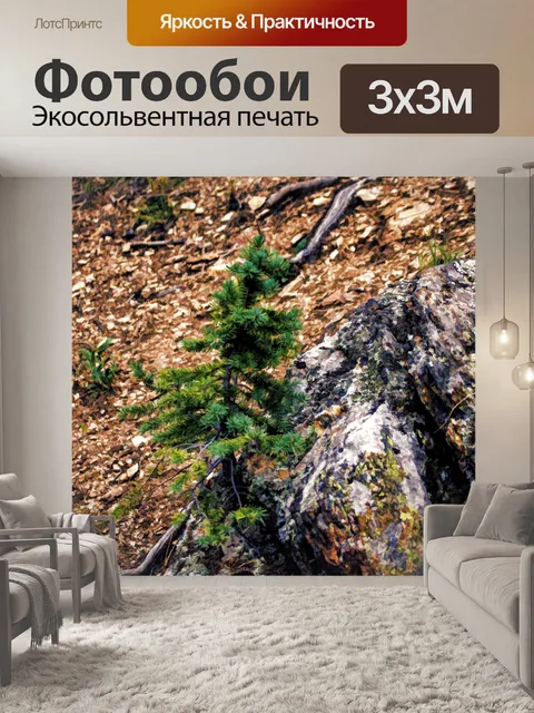 Фотообои детская сосна