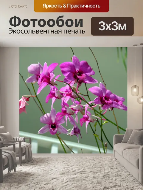 Фотообои фиолетовые цветы орхидеи