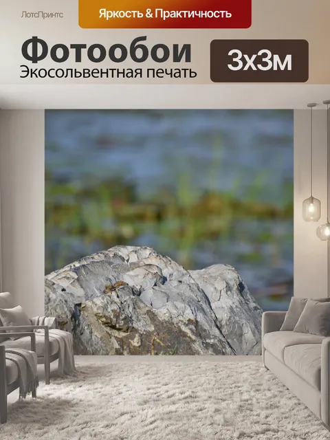 Фотообои Камень