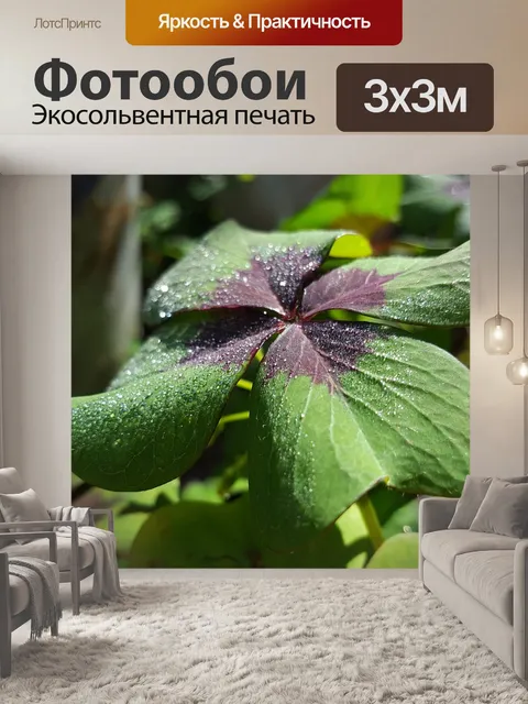 Фотообои Счастье