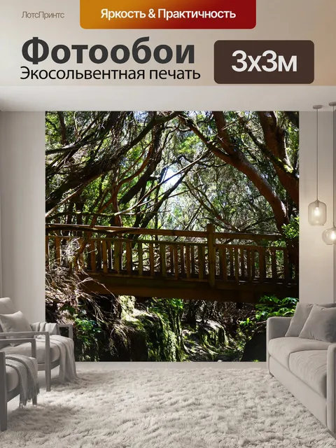 Фотообои Сеть