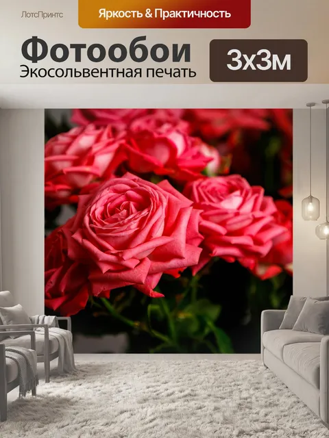 Фотообои Розы