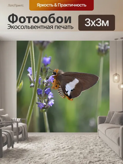 Фотообои Бабочка