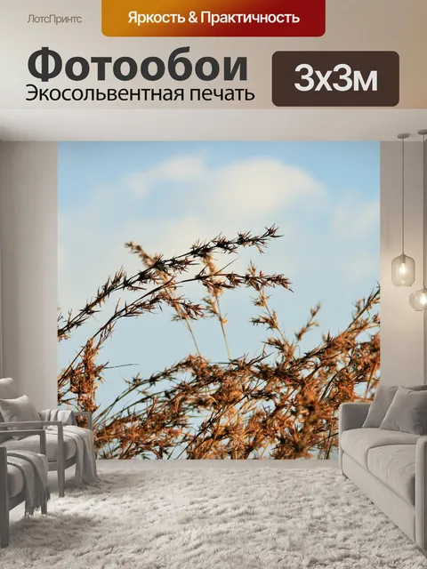 Фотообои красные трава пучки на фоне неба