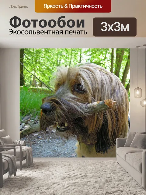 Фотообои Природа