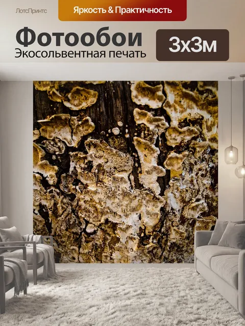 Фотообои Текстура дерева