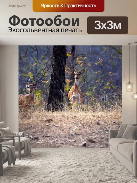 Фотообои Пятнистые олени 1
