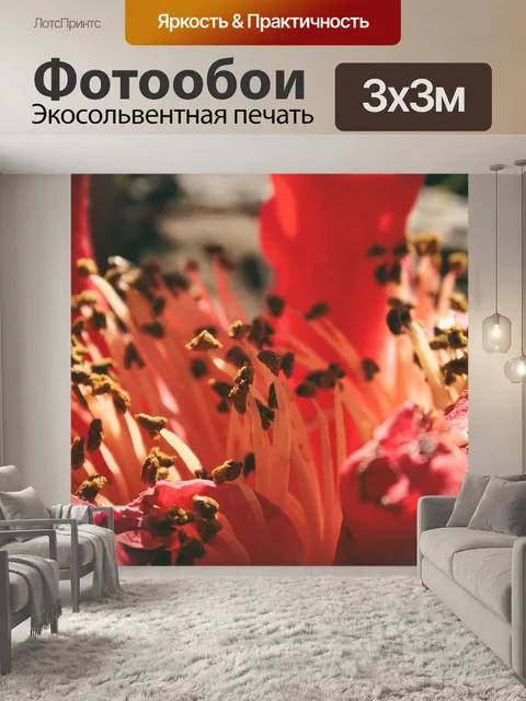 Фотообои Цветок