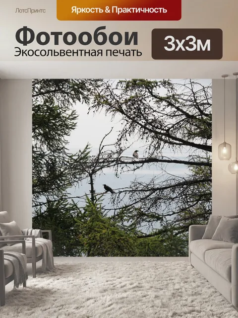 Фотообои Птицы