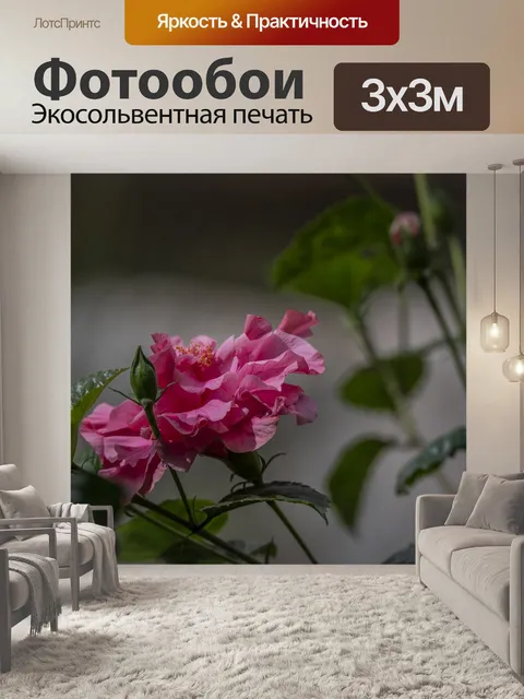 Фотообои Розовый цветочный фон
