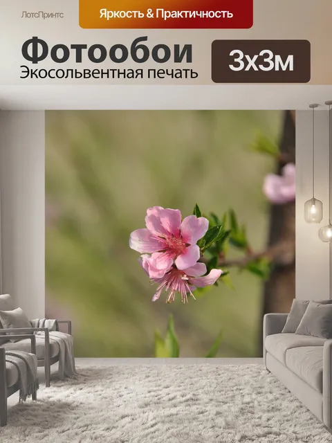 Фотообои Персиковый цвет