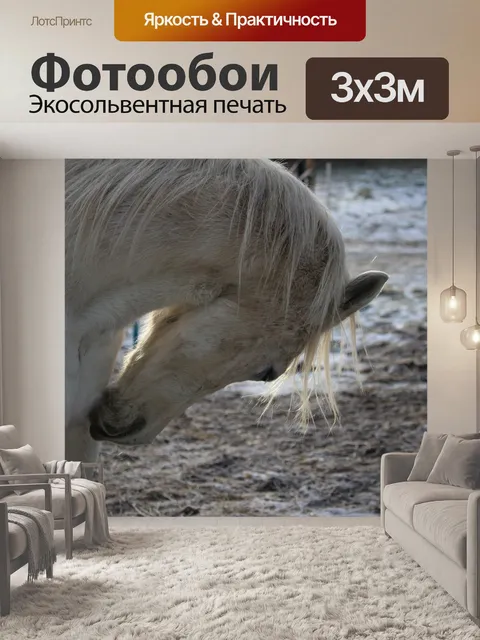 Фотообои Лошадь
