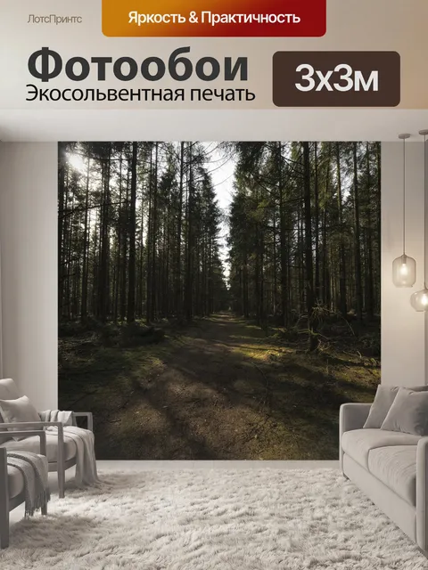 Фотообои Лес