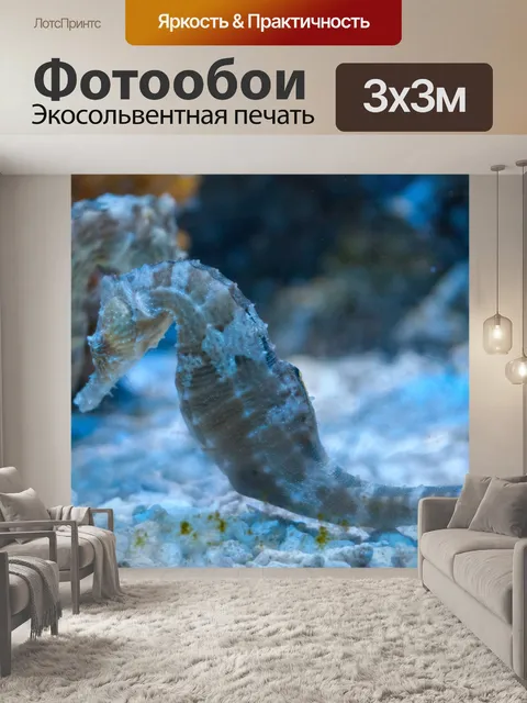 Фотообои конек