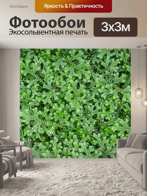 Фотообои Красивые папоротники зеленые листья