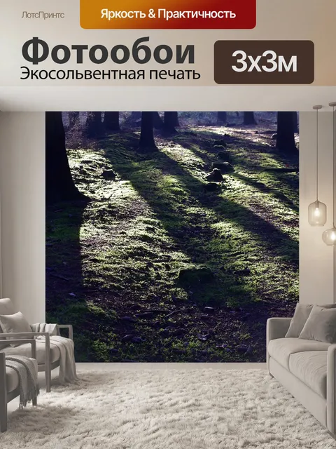 Фотообои Лес