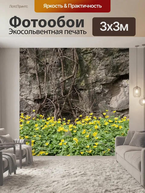 Фотообои Цветы