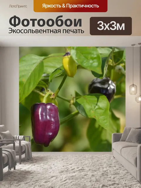 Фотообои Дерево