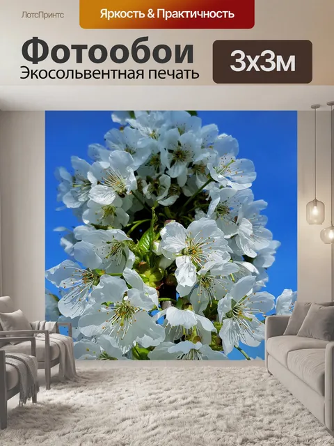 Фотообои Белые цветки