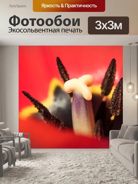 Фотообои Тюльпаны