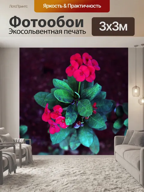 Фотообои Сад