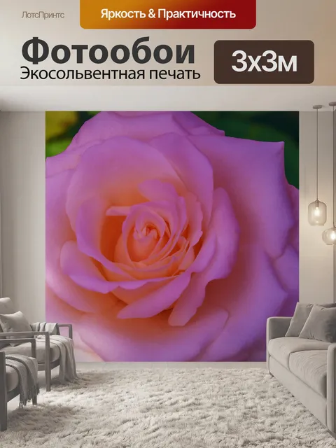 Фотообои Розы ночью