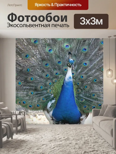 Фотообои Павлин