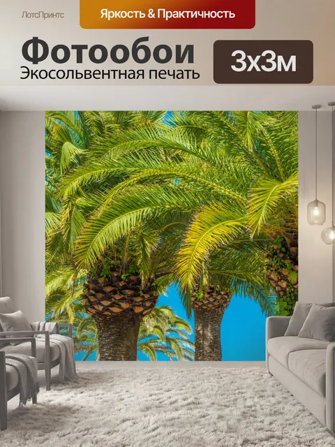 Фотообои Пальмы и голубое небо