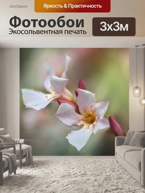 Фотообои Цветок