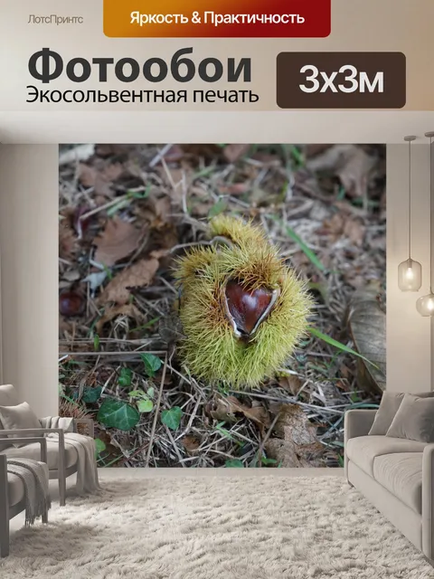 Фотообои Семена каштана
