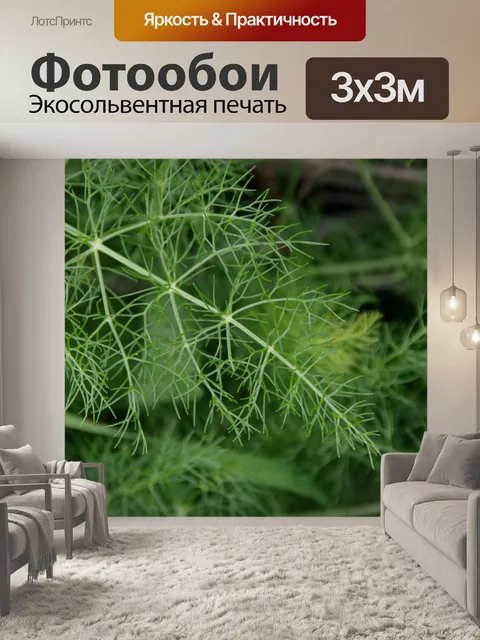 Фотообои Зеленые листья фенхеля фон