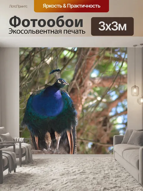 Фотообои Птица