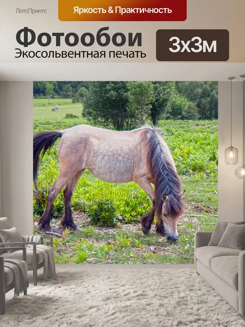 Фотообои Лошадь