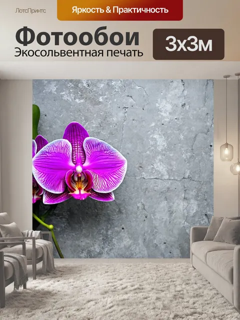 Фотообои цветы в стиле минимализм, с фоном из текстурированного бетона и яркими орхидеями