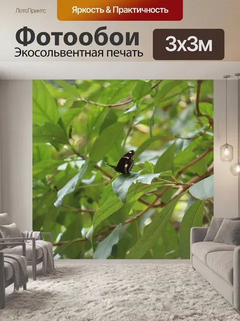 Фотообои Листья
